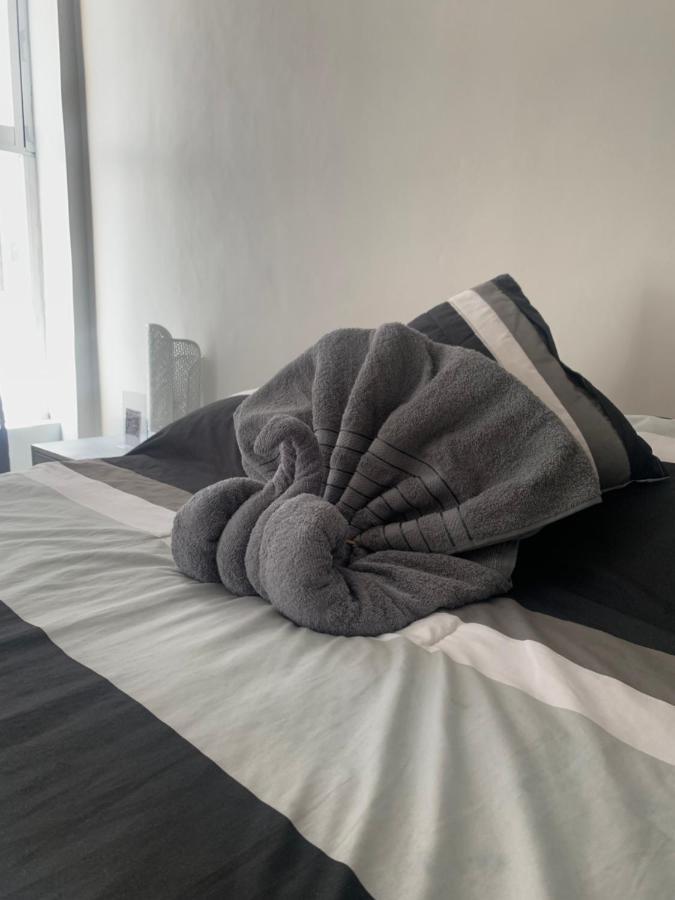 Hermoso Departamento En Coyoacan Mexico By Eksteriør billede